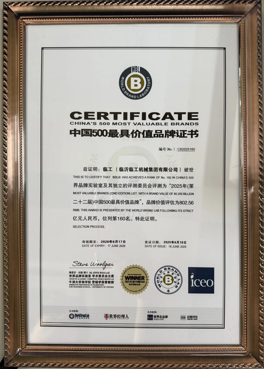 تبلغ القيمة العلامة التجارية لـ Lingong Group ‏¥80.26 مليار، وقد تم تصنيفها ضمن أقوى 500 علامة تجاري